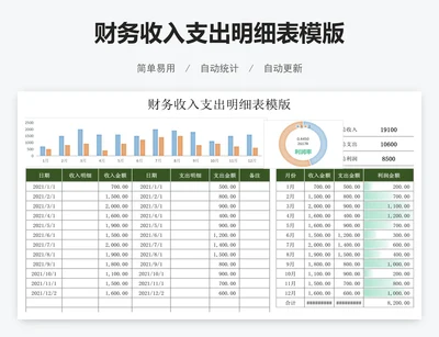 财务收入支出明细表模版