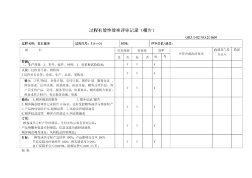 过程有效性效率评审记录.docx