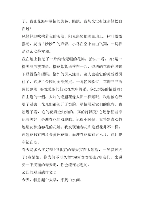 公园的观后感作文600字