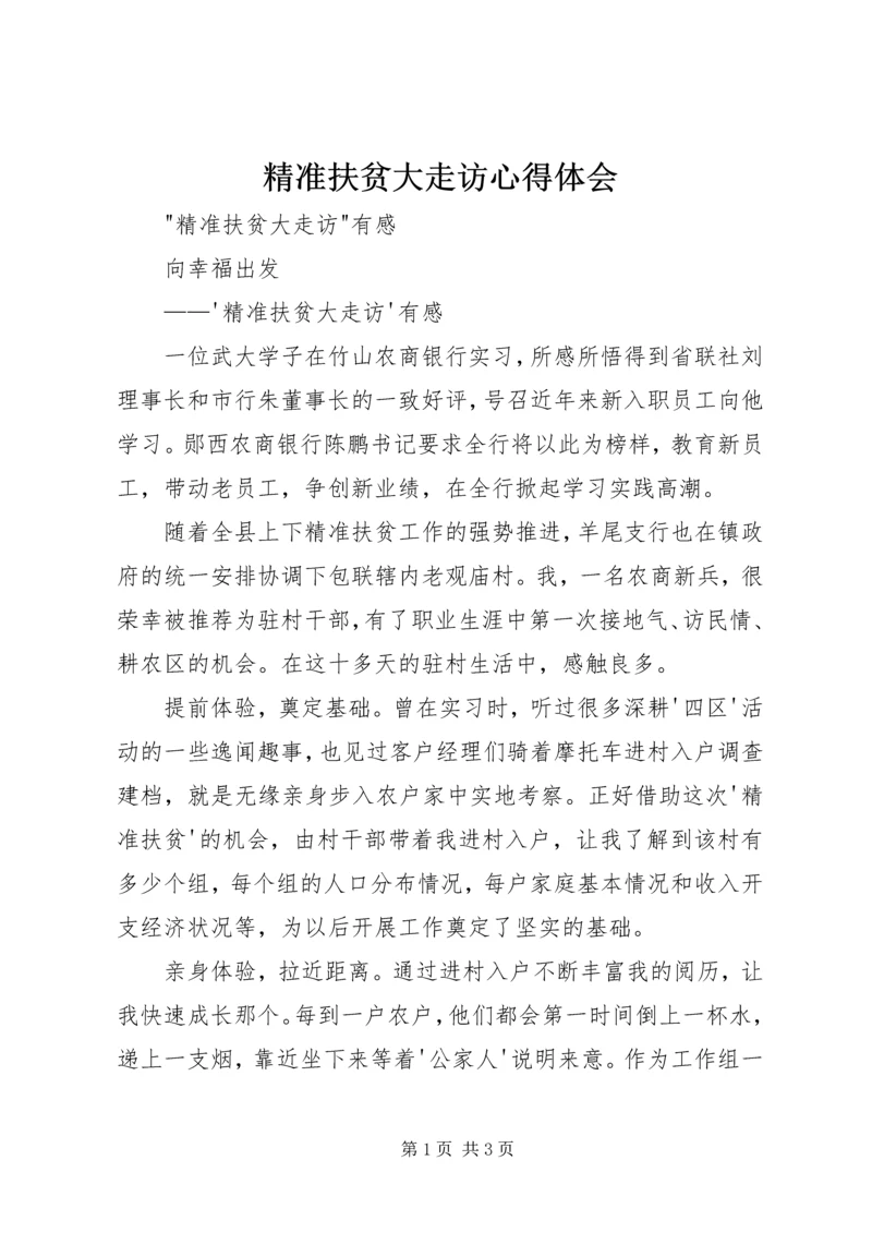 精准扶贫大走访心得体会_1.docx