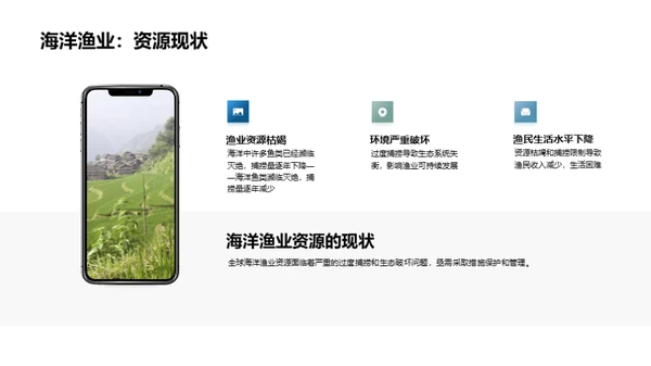 海洋宝藏：渔业振兴之路