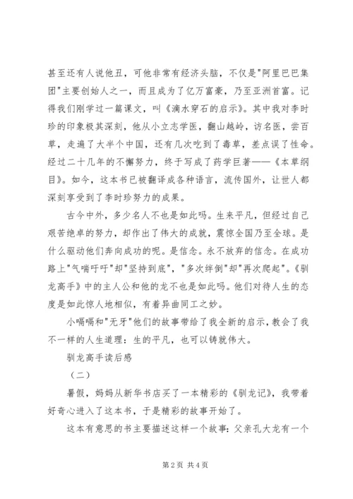 驯龙高手读后感 (2).docx