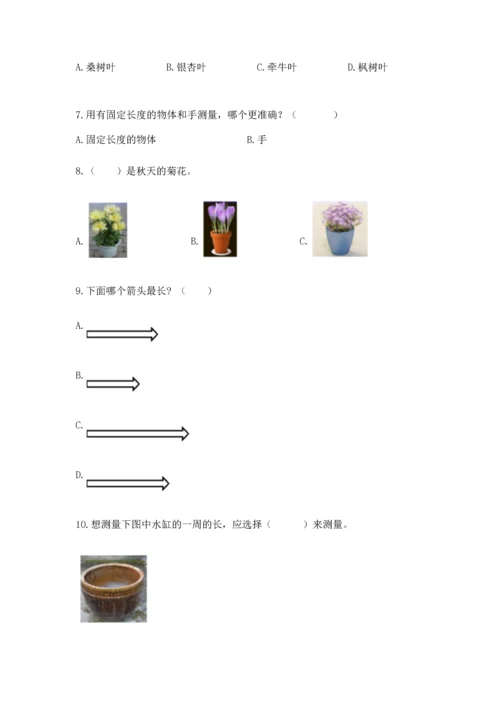 教科版一年级上册科学期末测试卷【满分必刷】.docx