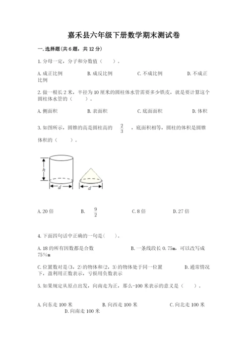 嘉禾县六年级下册数学期末测试卷精品含答案.docx