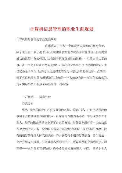 计算机信息管理的职业生涯规划