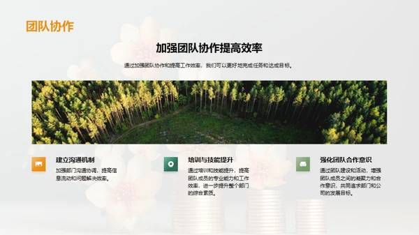 花卉事业的崭新篇章