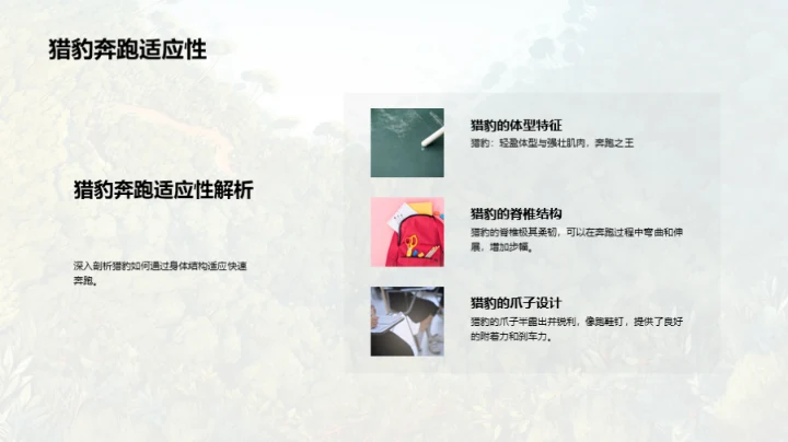 动物世界的奥秘