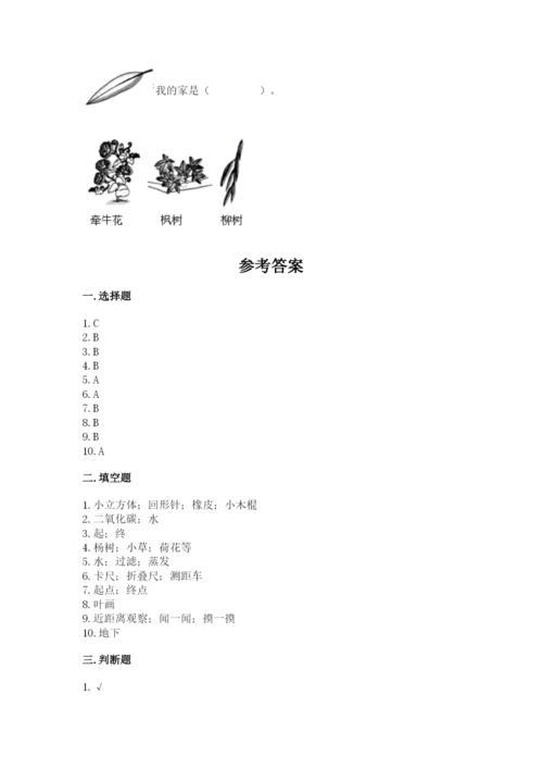 教科版一年级上册科学期末测试卷精品【基础题】.docx