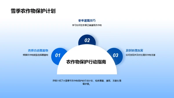 冬雪防冻 农业守护