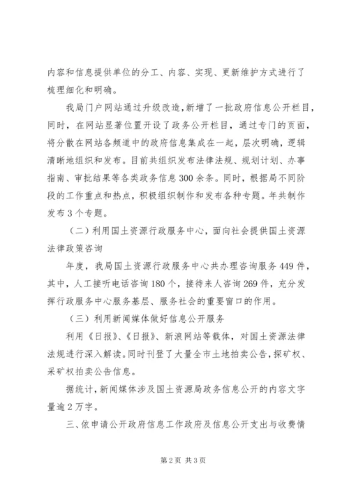 国土部门年终信息公开工作汇报.docx
