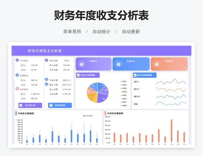 财务年度收支分析表