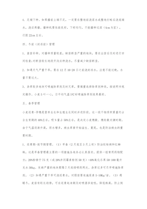 优质小麦品种锦绣21在河南省的高产栽培技术要点.docx