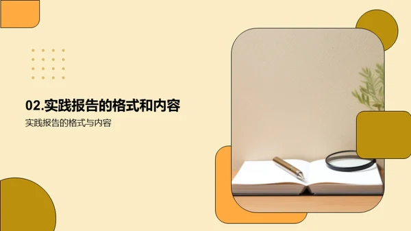 实践报告精要