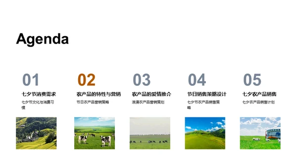 七夕农产品销售策略