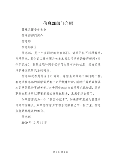 信息部部门介绍.docx