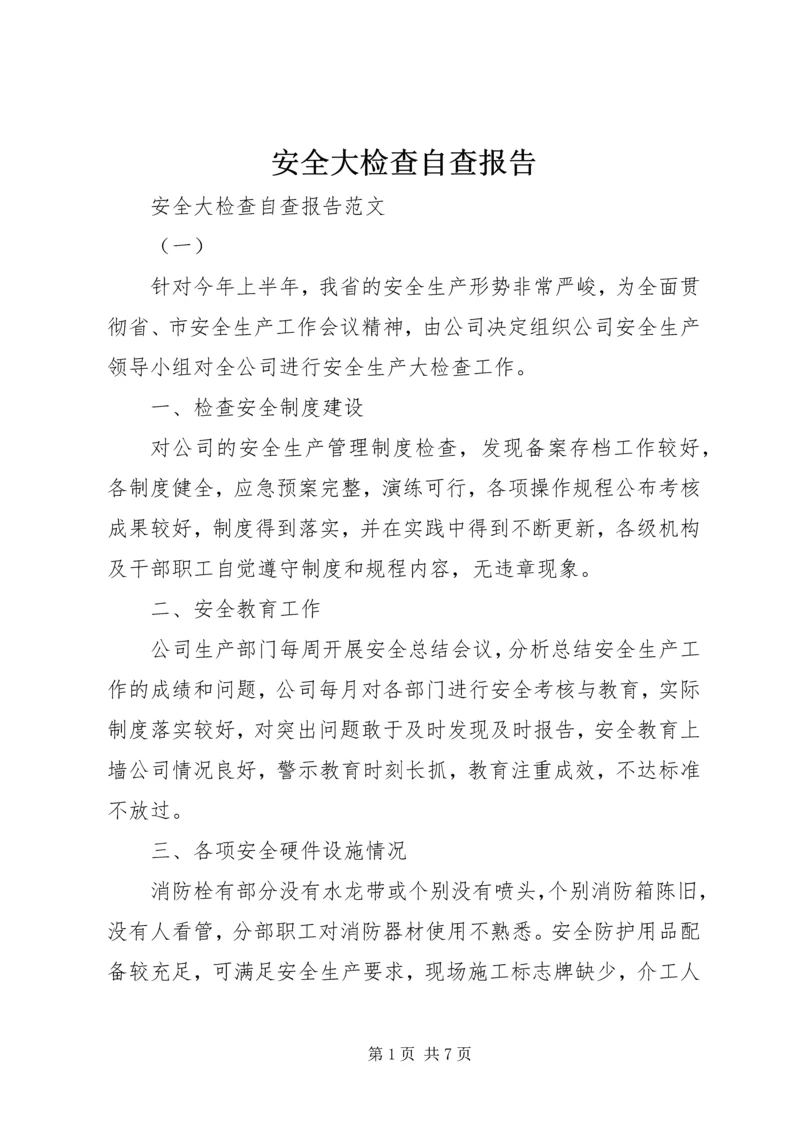 安全大检查自查报告 (15).docx