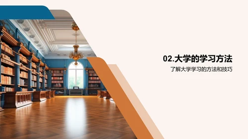 大学学习全景解读