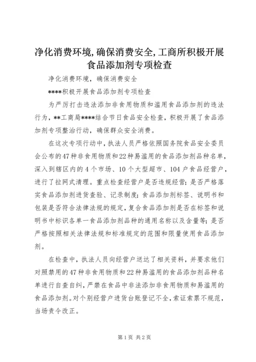 净化消费环境,确保消费安全,工商所积极开展食品添加剂专项检查.docx