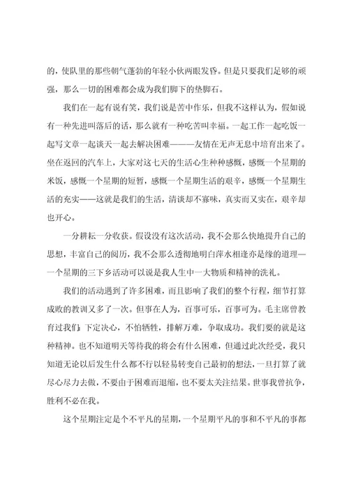 暑假三下乡社会实践活动先进个人总结（19篇）