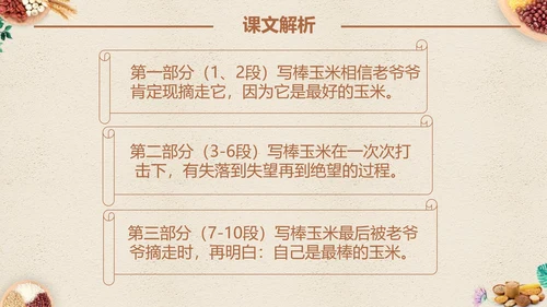 最棒的玉米小学四年级语文课文PPT课件