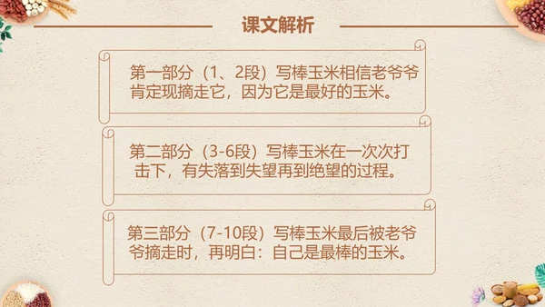 最棒的玉米小学四年级语文课文PPT课件
