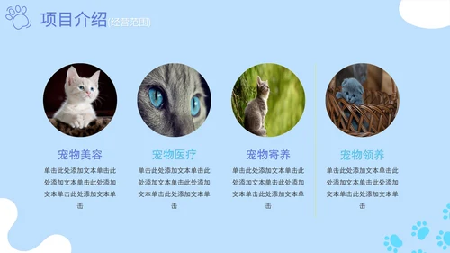蓝色卡通简约萌宠宠物店项目计划书PPT模板