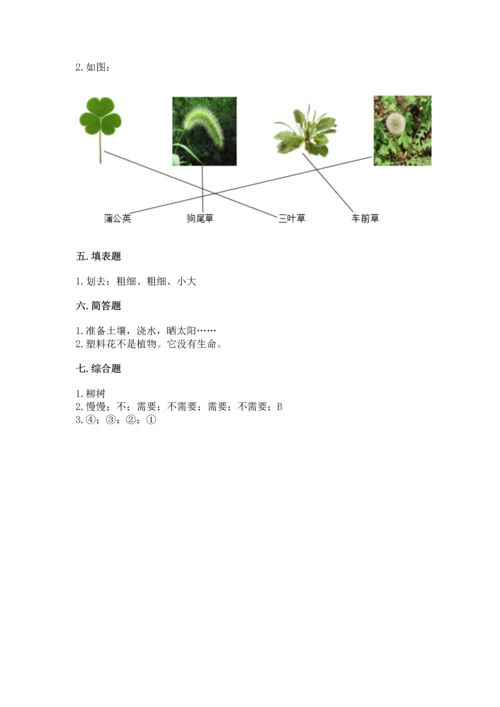 教科版科学一年级上册第一单元《植物》测试卷含答案（综合卷）.docx