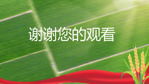 党建引领促发展乡村振兴展画卷PPT