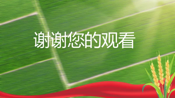 党建引领促发展乡村振兴展画卷PPT