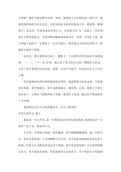 精华可爱乌龟作文合集6篇