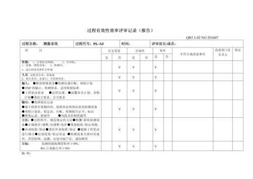 过程有效性效率评审记录.docx