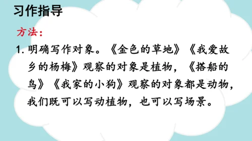 -统编版2024-2025学年三年级语文上册同步精品习作：我们眼中的缤纷世界 课件