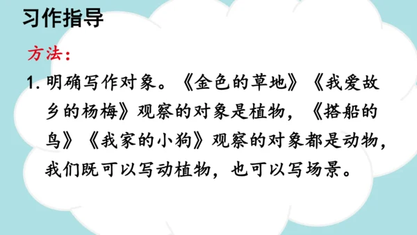 -统编版2024-2025学年三年级语文上册同步精品习作：我们眼中的缤纷世界 课件