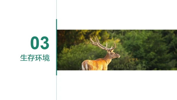 野生动物保护宣讲