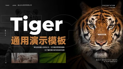 Tiger老虎通用PPT演示模板
