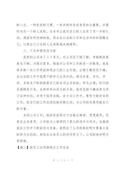 新员工试用期转正工作总结怎么写.docx