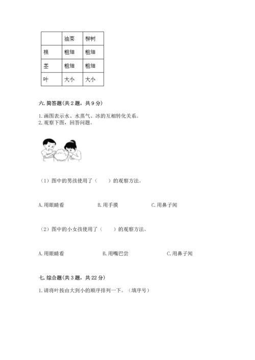 教科版科学一年级上册第一单元《植物》测试卷及完整答案【名师系列】.docx