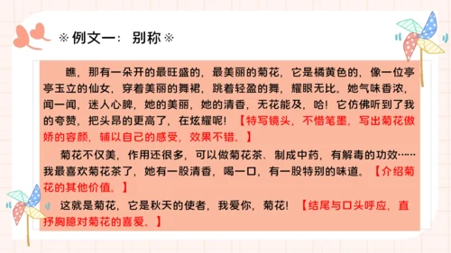统编版语文三年级下册统编版习作：我的植物朋友 （课件）