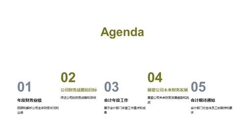 财务解析：20XX年度总结