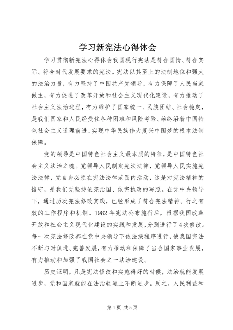 学习新宪法心得体会 (3).docx