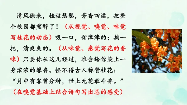统编版语文八年级上册第三单元写作《学习描写景物》课件