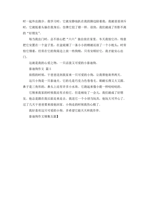 泰迪狗作文锦集五篇.docx