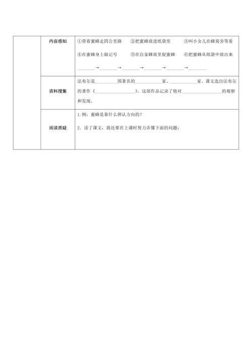 14《蜜蜂》（创新教案+课堂活动卡+课前预学案）