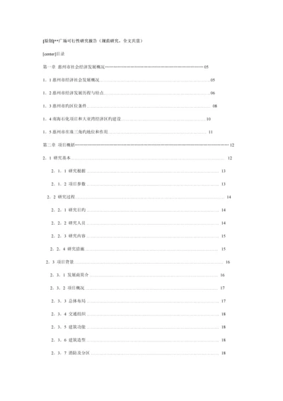 惠州广场可行性专题研究报告.docx