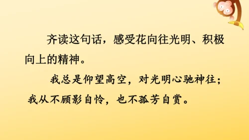 4 花之歌    课件