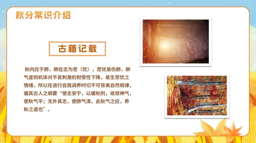 手绘水彩中国风二十四节气秋分主题PPT模板