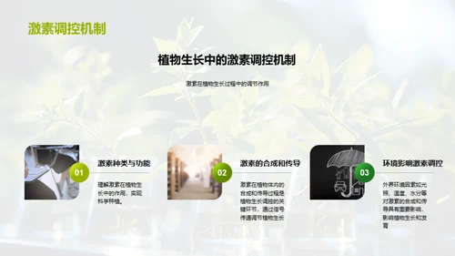 植物生长与教学创新