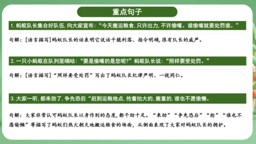 统编版2024三年级语文上册第三单元复习   课件
