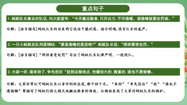 统编版2024三年级语文上册第三单元复习   课件