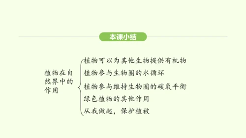 第三单元-第二章-第四节-植物在自然界中的作用课件-2024-2025学年七年级生物下学期人教版(2